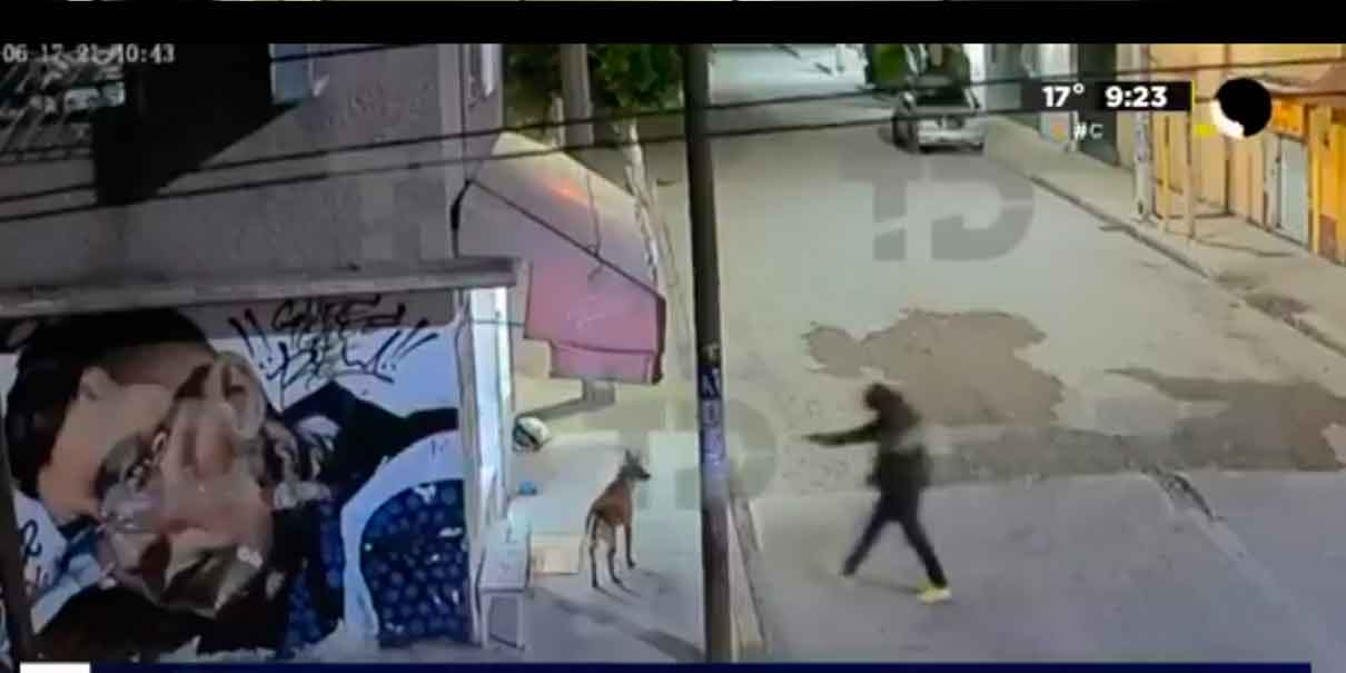 VIDEO. Elemento de la Fiscalía de EDOMEX mata a balazos  a “Pastor”, lomito amado por vecinos 