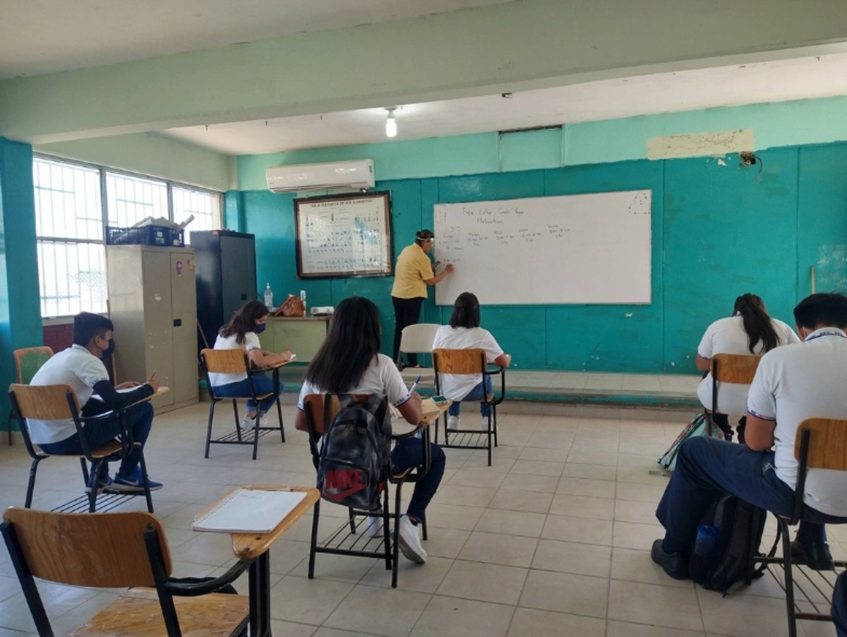 México en el sótano de la OCDE, los retos pedagógicos que la SEP no pudo recortar