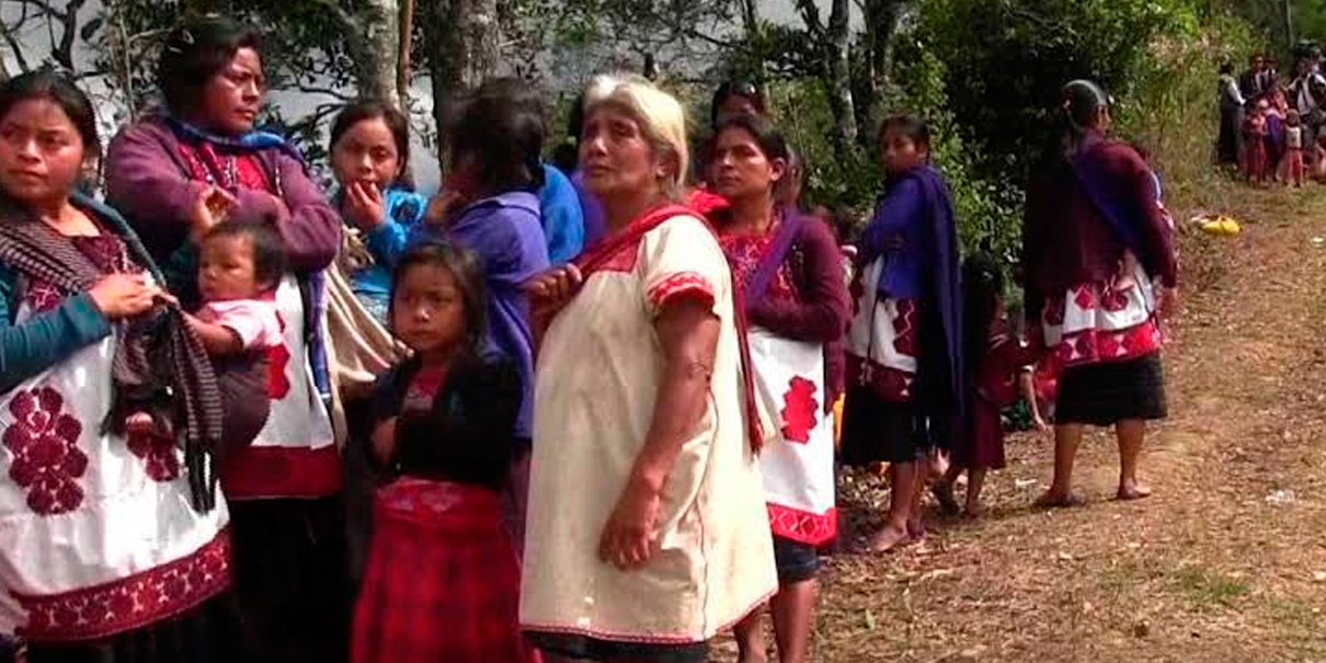 Violencia en Chiapas deja a 101 niños sin clases desde febrero de 2024. VIDEO