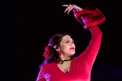 Lanzamientos musicales a todo volumen