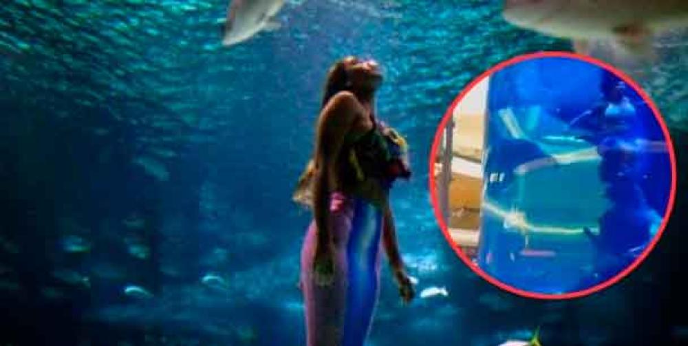 VIDEO. Sirena casi se ahoga durante pleno show en vivo; fue atacada por una mantarraya