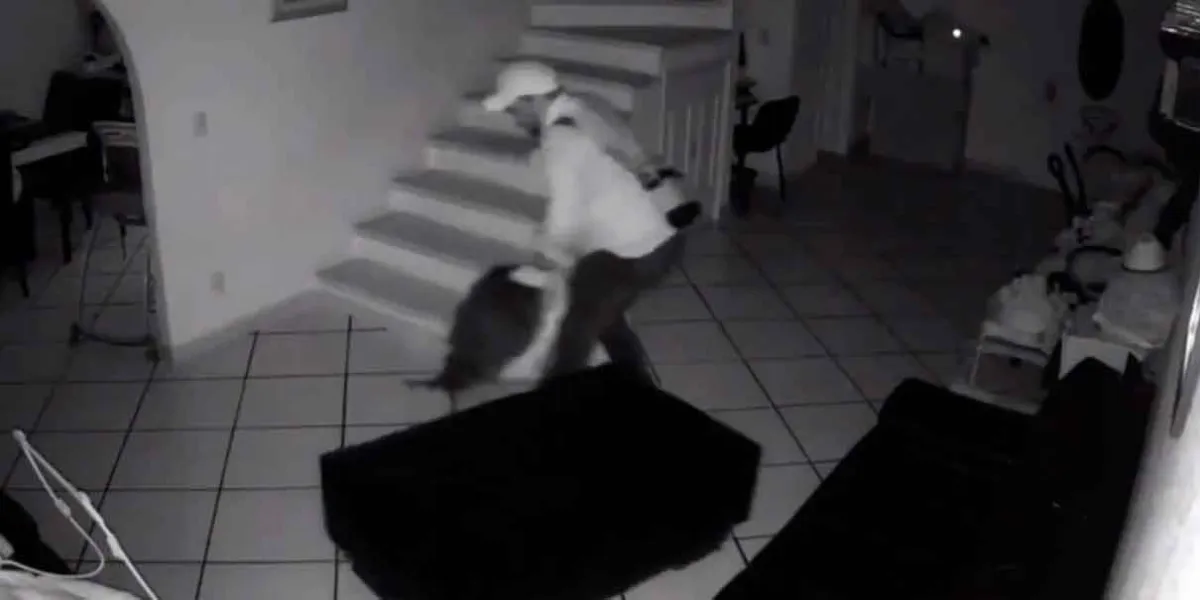 Mujer denuncia violencia familiar en Morelos; VIDEO muestra brutal refriega 