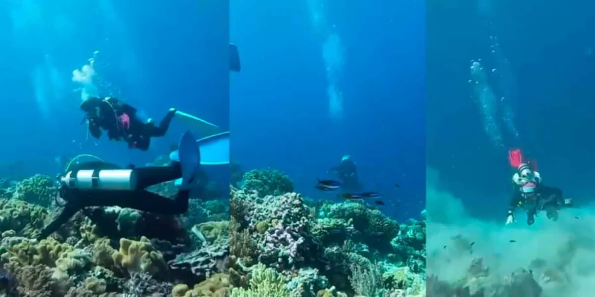 Buzos captan IMÁGENES SORPRENDENTES de un fuerte TERREMOTO bajo el mar