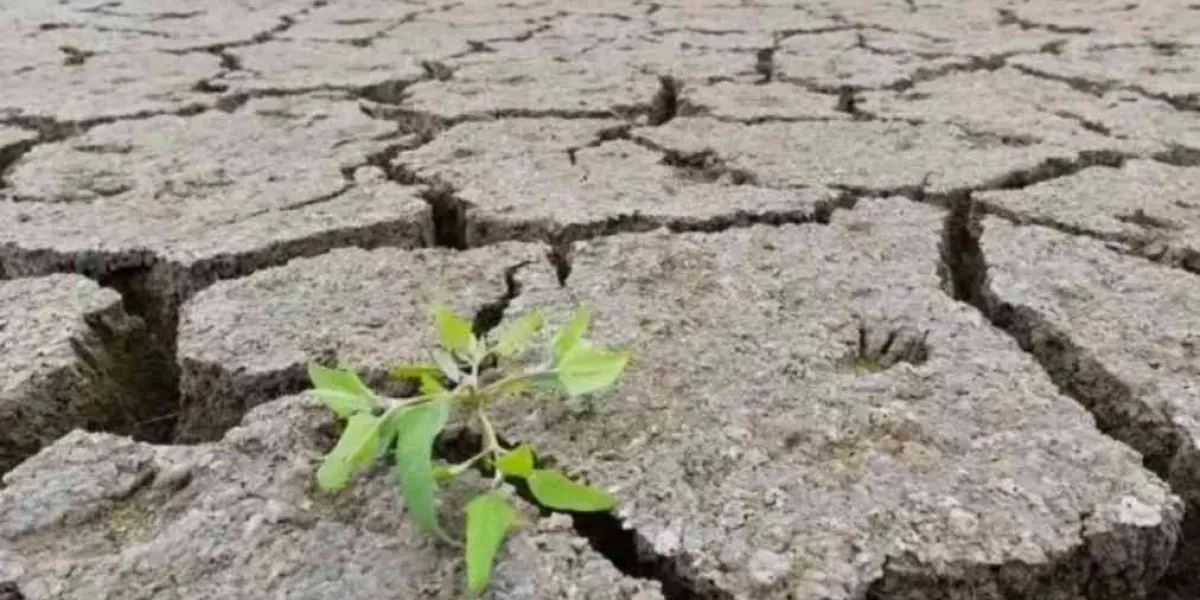 ¡Alerta!, La Niña está por llegar a México, será impredecible 