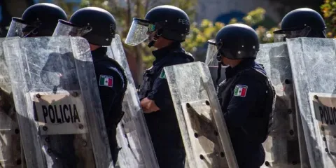 Dos cárteles de cuello blanco