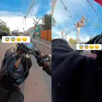 Motociclista grabó su brutal accidente tras intentar “caballo de acero” en plena calle