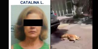 VIDEO. A la cárcel por arrastrar a un perro con su camioneta 