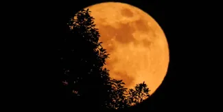 La Luna se teñirá de dorado HOY sábado: así podrás disfrutar la Luna de la Cosecha
