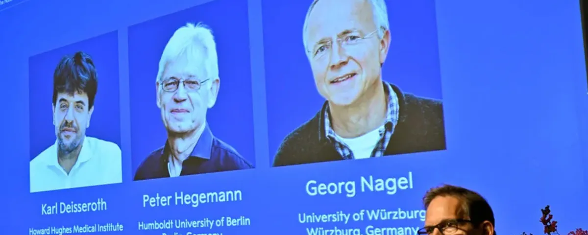 Nobel de Medicina premia técnica que permite encender y apagar neuronas con luz