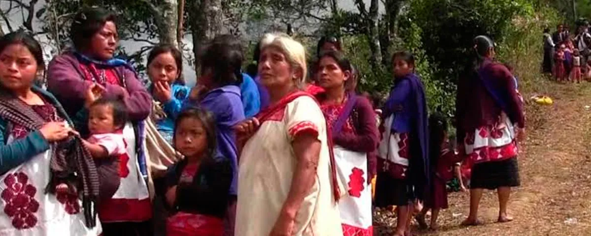Violencia en Chiapas deja a 101 niños sin clases desde febrero de 2024. VIDEO