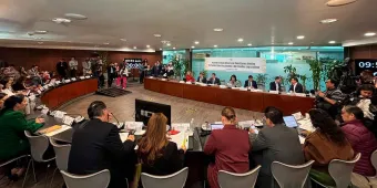 Comisiones del Senado avalan la eliminación de organismos autónomos y la creación de nueva entidad de competencia